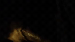 College Guy Gets Naughty in Midnight Sucker Gay GIF
