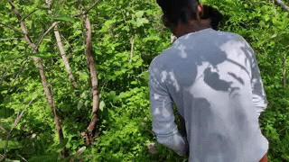 Forest setting becomes the backdrop for Indica and boyfriend’s intense threesome experience that they can’t get enough of