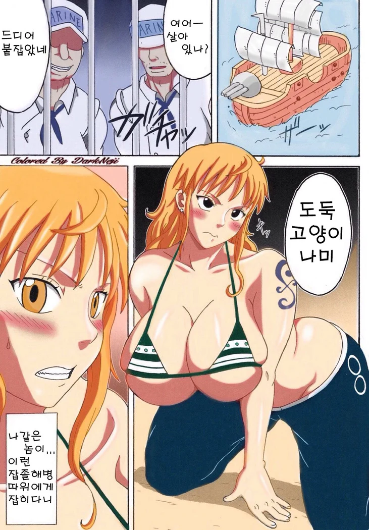 《Nami Saga 1》Chapter 42第 1 页