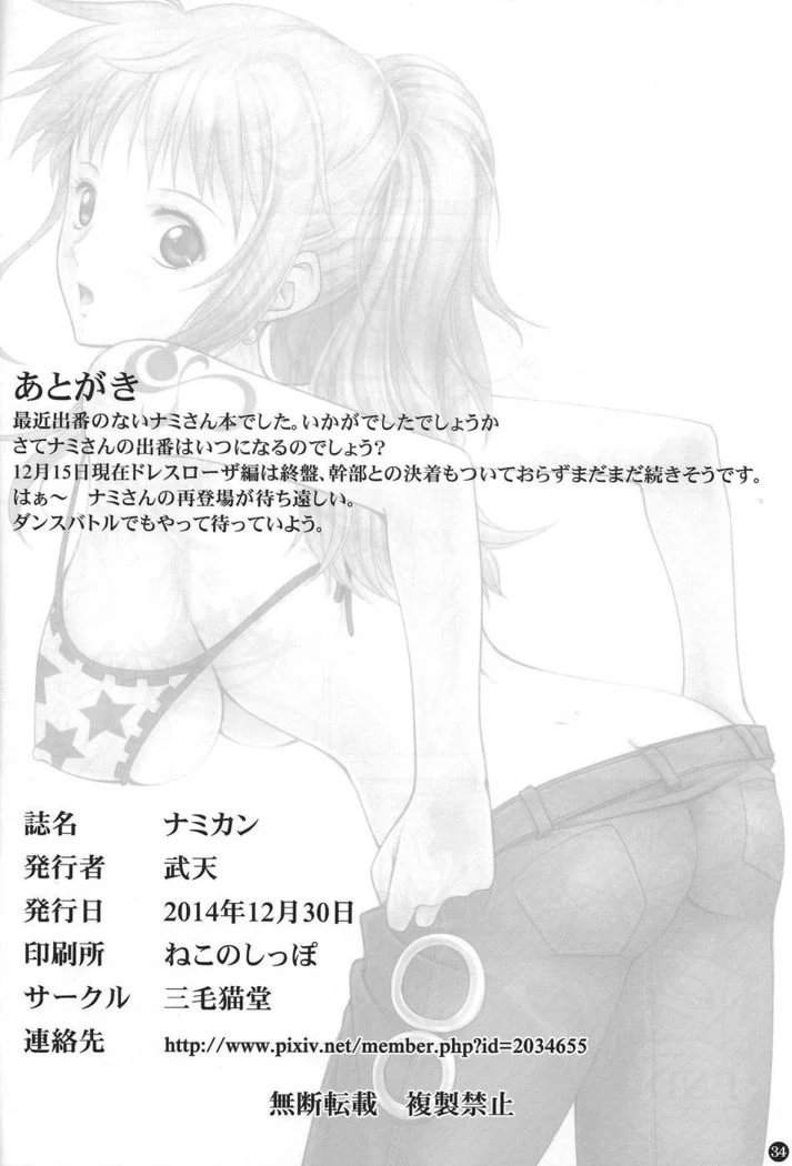 “Nami's Swimsuit Orgy” Chapter 32, page 1