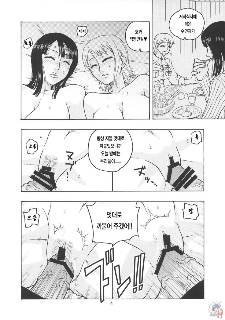 “Nami's Sailing Diary EX NamiRobi” Chapter 5, page 1