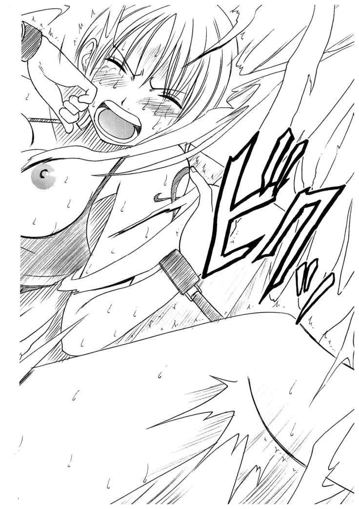 “Voyage Compilation 2: Nami and Robin” Chapter 110, page 1