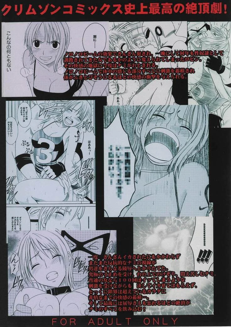 “Voyage Compilation 2: Nami and Robin” Chapter 123, page 1