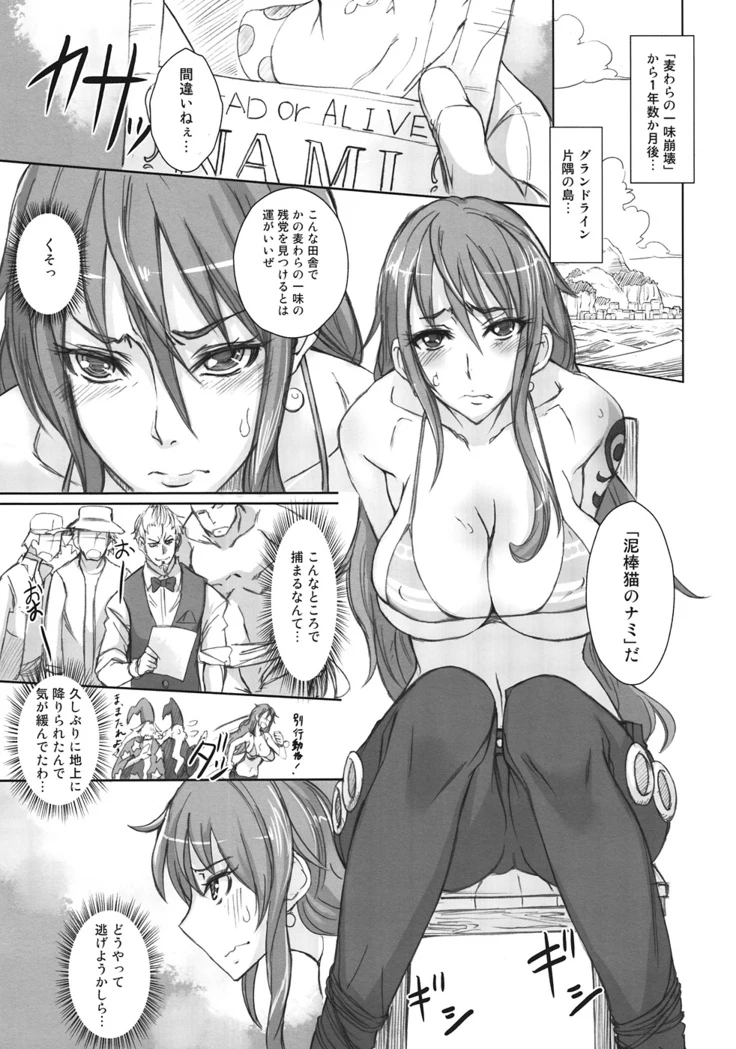 《Grand Line Chronicle 2: Nami's Ordeal》Chapter 2第 1 页