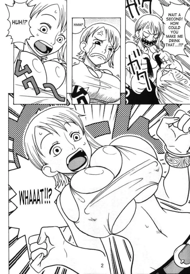 “Nami's Special Sailing Log” Chapter 3, page 1
