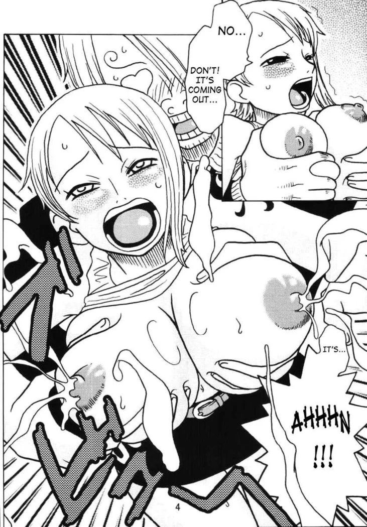 “Nami's Special Sailing Log” Chapter 5, page 1