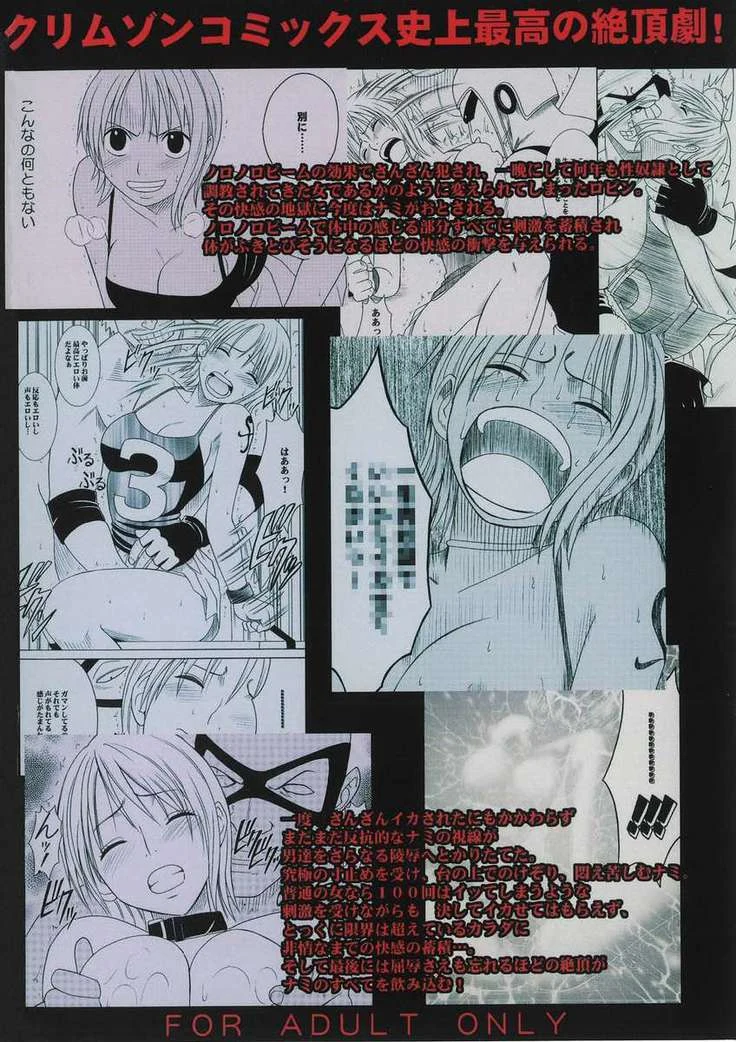 《Nami and Robin's Bondage Compilation 2》Chapter 123第 1 页