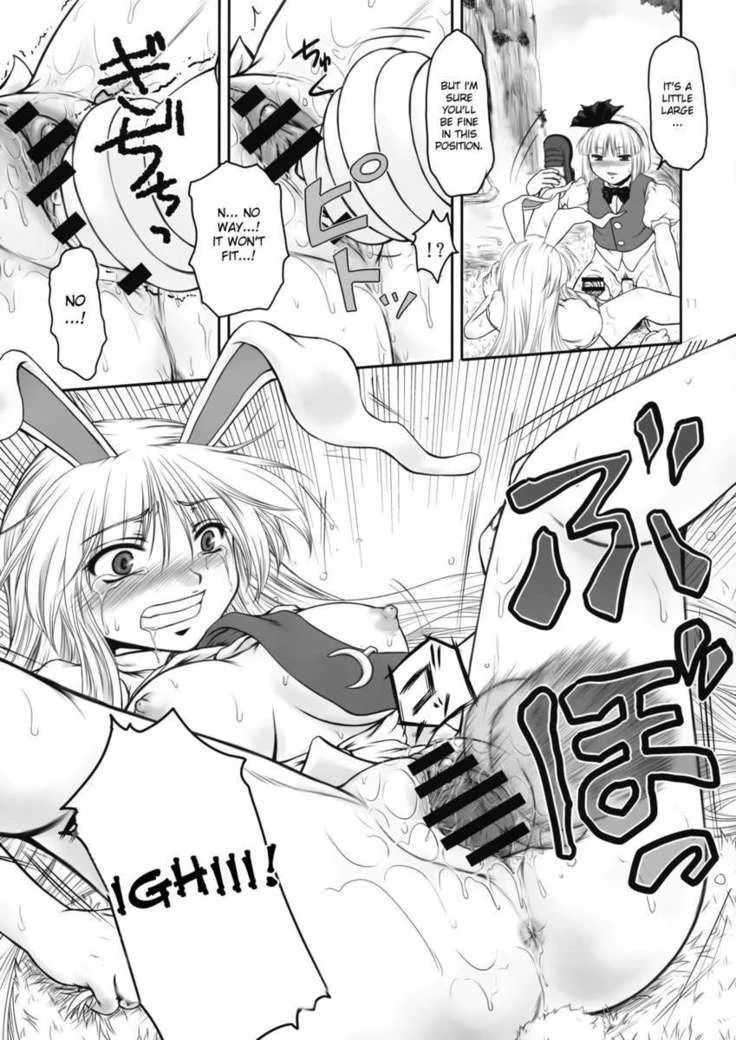 “Immoral Bunnygirl Play with Reisen and Youmu” Chapter 10, page 1