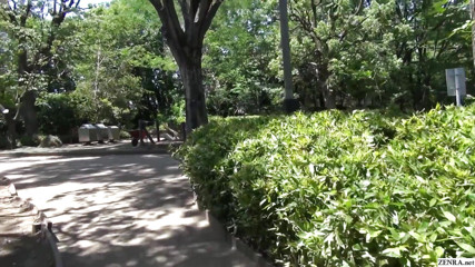 Short hair beautiful Japanese amateur outdoor oral and sweaty car sex