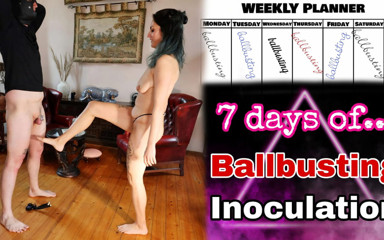 7 Days of Ballbusting