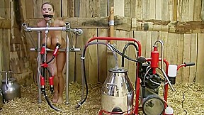 Hucow - Slave Training Bdsm