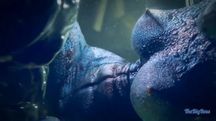 Argonian Wrinkled Alchemy