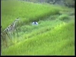 Thai bang behind scenes