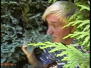 Caught Naked Sunbathing and Fucked at the Edge of the Forest