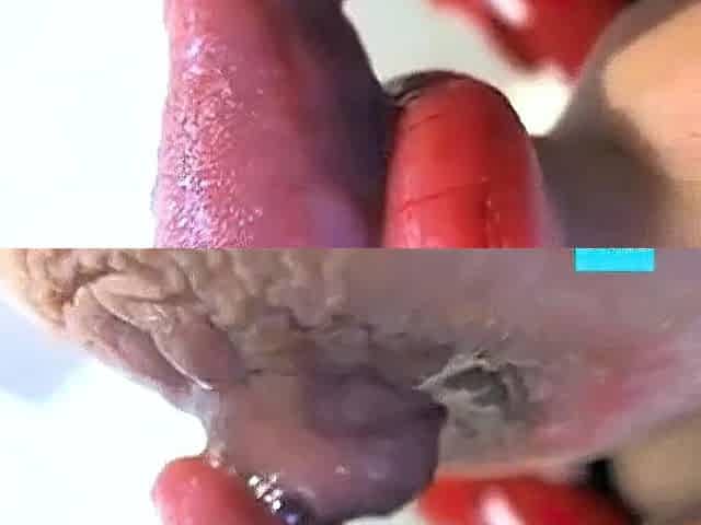 Webcam Tease: Sucking and Playing with My Nipples