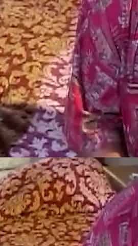 Black Slut Anal Fucked