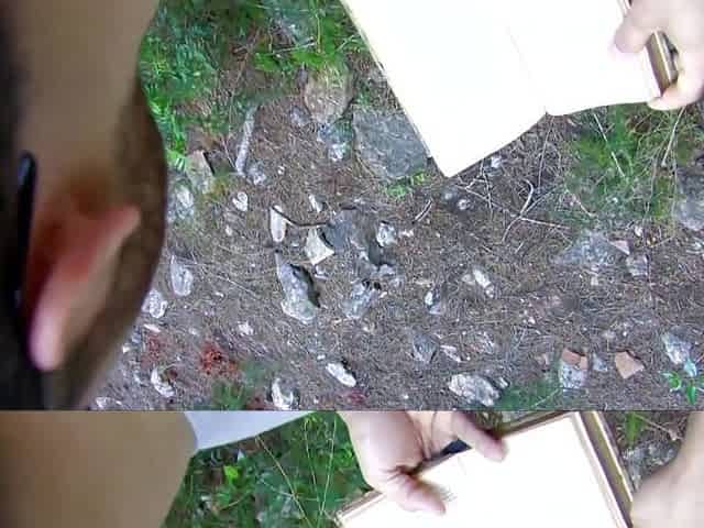 Blowjob And Good Fuck In The Woods For A Dirty And Hot Brunette