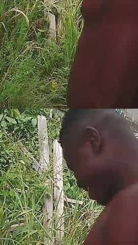 She Was on My Fan Harvesting Cassava Before I Come and Meet Her