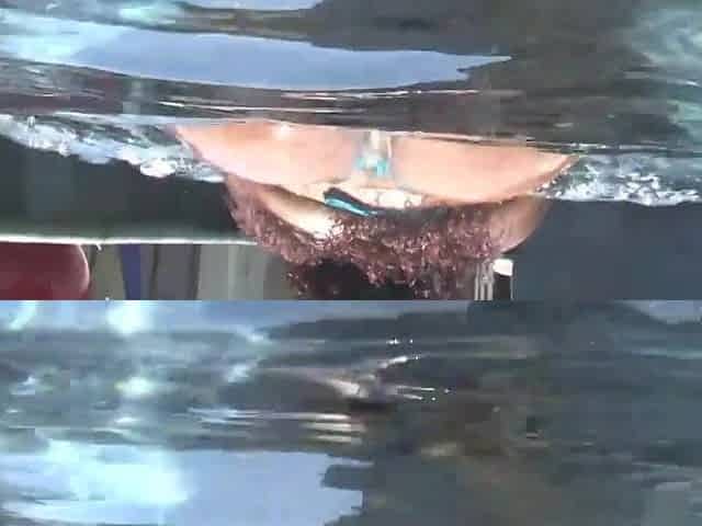 Black Bbw Bitch Takes It Up The Butt