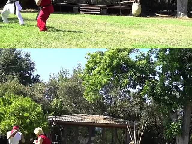 Street Fighter XXX A Porn Parody