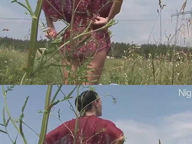 Titus Steel In Endlich Sommer, Endlich Anal Im Hohen Grass