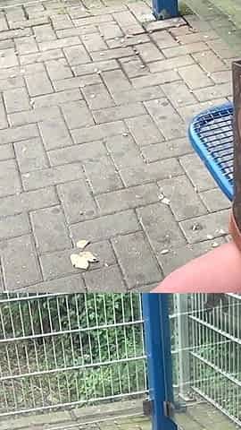 Sexy chubby blonde picked up and anally fucked outdoor
