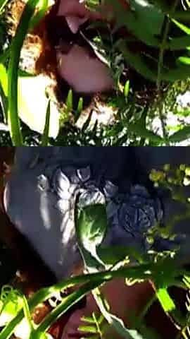 Sucking Black Cock in the Bushes