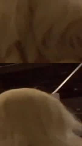 Blonde Megan Monroe takes cock in her face