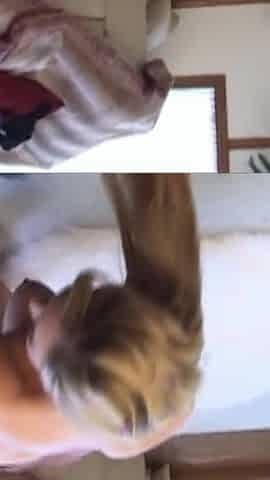 Hot Handjob, Blowjob, Cumshot with Huge Dick - Jessica Sweet