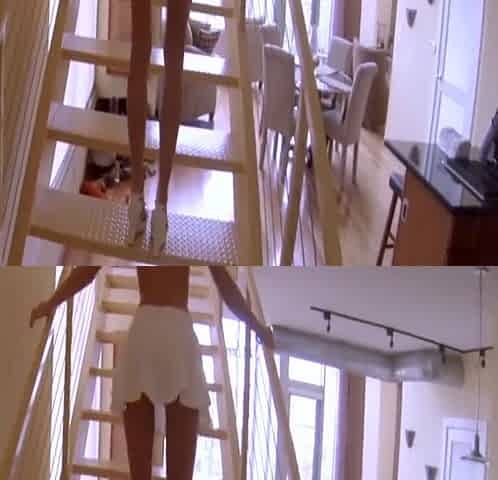 POVD - Erica Fontes deepthroats a large penis