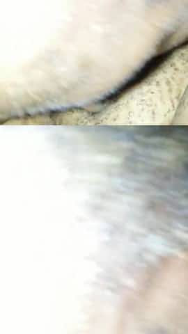 KansasCity Crackhead Pro TONI Drains a BIG LOAD out of my Dick for $15