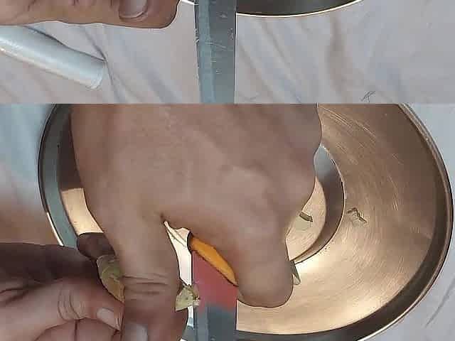 Figging training. Applying ginger to my pliant's backdoor for the 1st time.