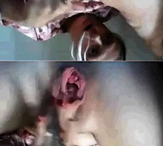 Deutsche Amateurin reibt sich vor der Webcam die Muschi