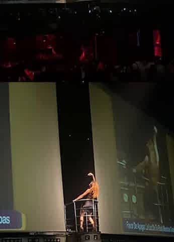 I show my ass everybody
