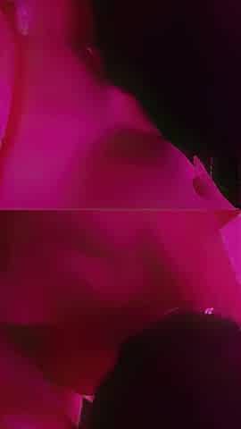 Filmed my spouse having sex.