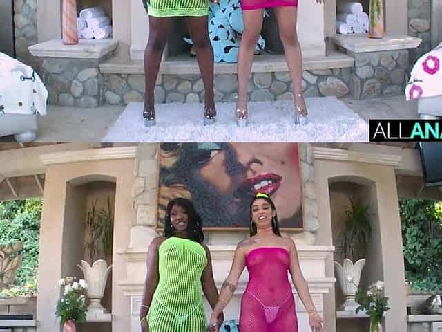 ALL ANAL Skyler Nicole and Vanessa Sky one as well as the other get butt screwed