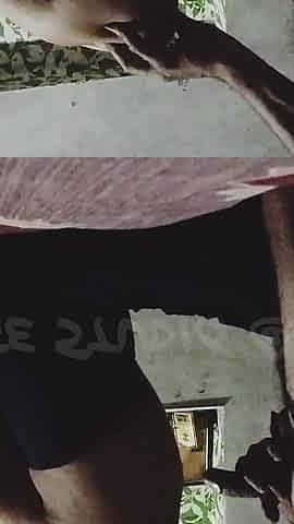 Doggy Style and Riding Big Cock Fucking with Cumshot on Mouth