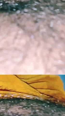 Brother-in-law and Sister-in-law's Naked Video Viral India Desistar Best Scene