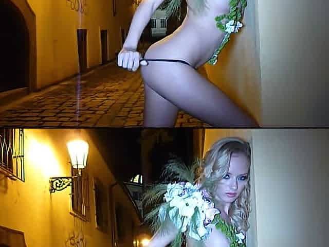 Night Flower