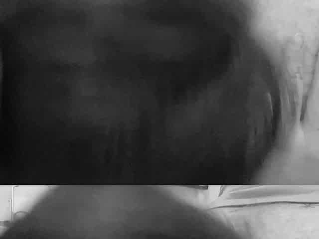 Pornellia Sucking Hard with Tongue a Beautiful Asshole