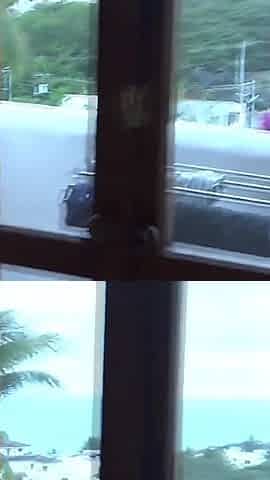 I Recorded My Wife's Stepsister Resting Next to Hers, Huge Dildo