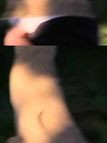 Svenska MILF:s Trekanten i skogen
