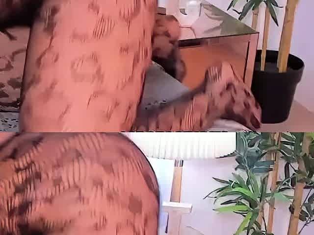 Real thick ass