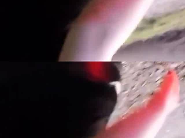 american Exhibe couple fuck outdoor, gigantic titties