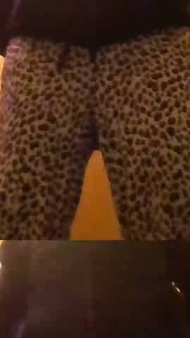 Black Panty