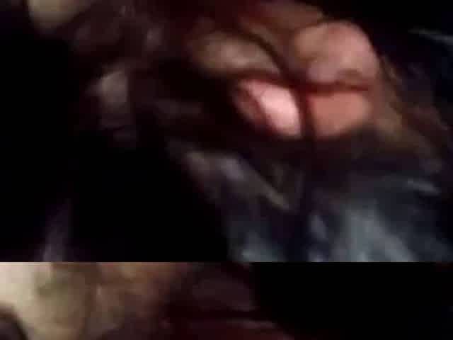 Der neue Clip des BBW Amateur Deutschpaares
