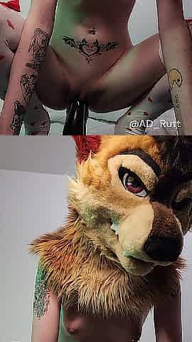 Cute yiff hotty stretches her vagina bouncing on thick horsecock
