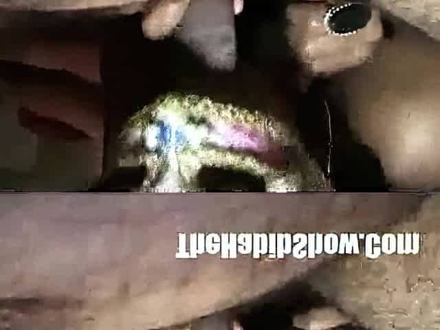 ebony cutie blow job : first time amatuer anal stripper makes me nut