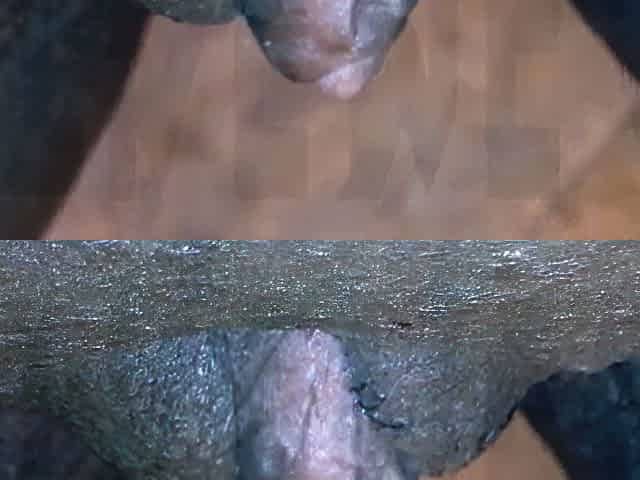 Masturbation and pussy close up