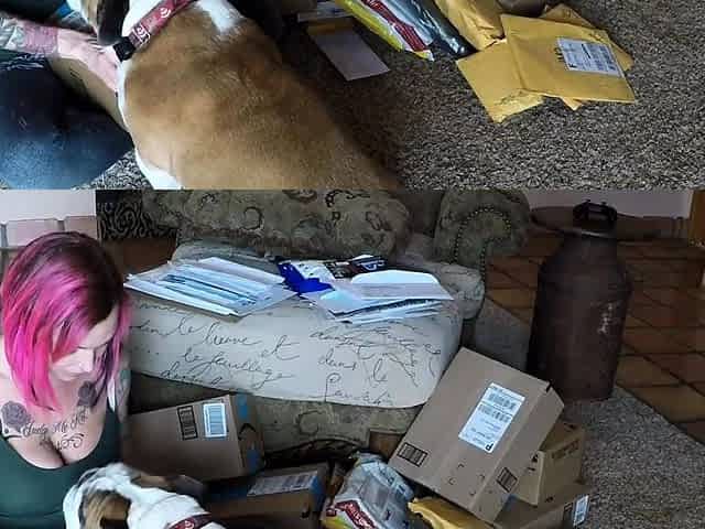 Mail Time and Dress Try On!